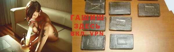 стаф Верея