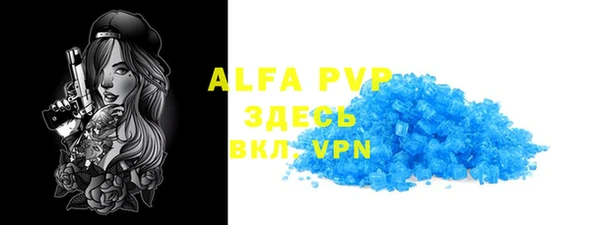 стаф Верея