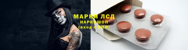 2c-b Бородино