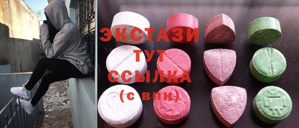 стаф Верея